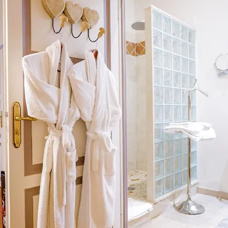 Champagne Andre Bergere & Bed and Breakfast 4*