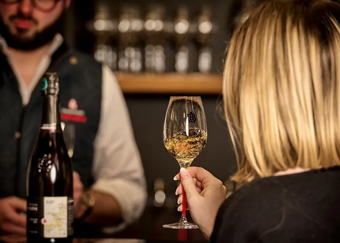 Champagne Andre Bergere & Alojamento de Acomodação e Pequeno-almoço